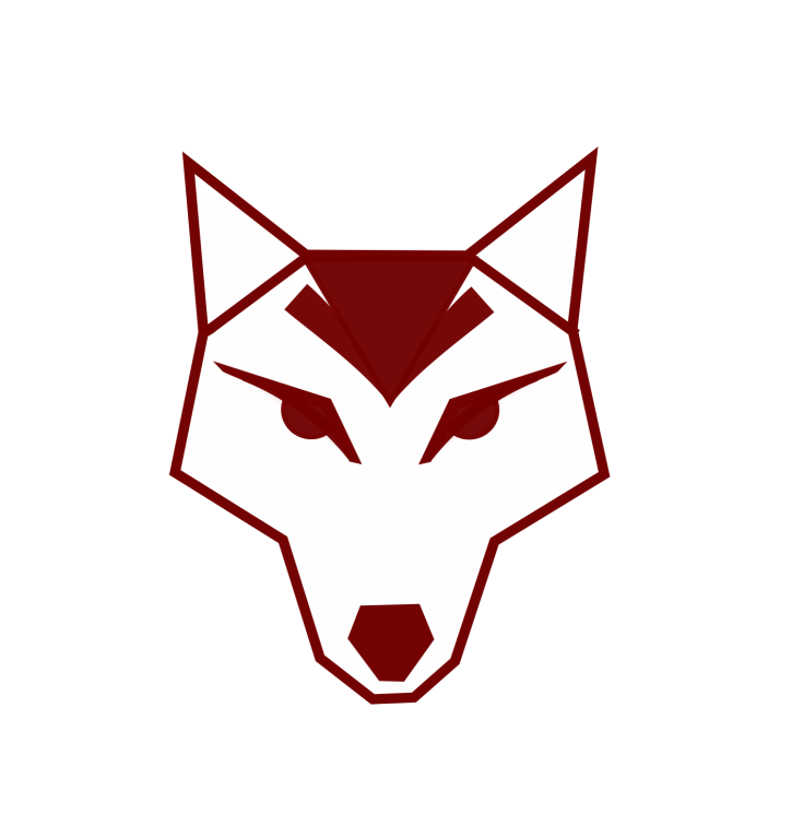 Werewolf Solutions — API-first ERP, Payments & Blockchain